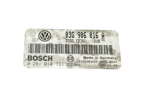 Volkswagen Touran I Calculateur moteur ECU 03G906016A