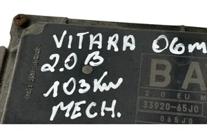 Suzuki Grand Vitara II Sterownik / Moduł ECU 3392065J0