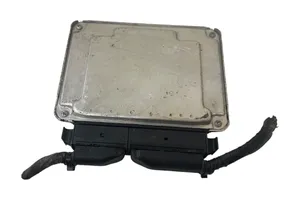 Seat Alhambra (Mk1) Calculateur moteur ECU 038906019LP