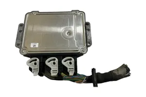 Ford Focus Sterownik / Moduł ECU 8M5112A650LG