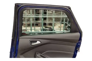 Ford Focus Rear door 