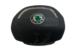 Skoda Octavia Mk2 (1Z) Airbag dello sterzo 1Z0880201AR