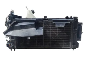 Nissan Leaf I (ZE0) Kit Radiateur 214813NL0B