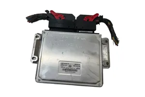 SsangYong Rexton I Calculateur moteur ECU A6655400632