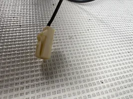 Toyota Prius (XW20) Antenna autoradio 