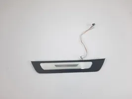 Audi RS6 C8 Front sill trim cover 