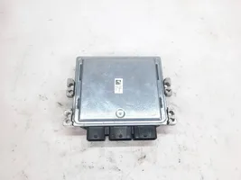 Ford Kuga I Unité de commande, module ECU de moteur 8V41-12A650-AE