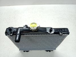 KIA Pride Coolant radiator RNBC