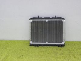 Lotus Evora Coolant radiator 
