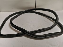 BMW 3 F30 F35 F31 Loading door rubber seal (on body) 7255635