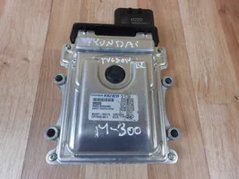 Hyundai Tucson IV NX4 Sterownik / Moduł ECU 954413D215