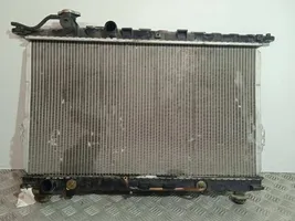 Hyundai Sonata Coolant radiator 