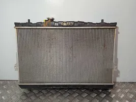 Hyundai Elantra Radiateur de refroidissement 2002039