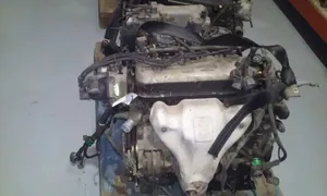 Honda Accord Moottori F18A3
