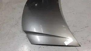 Chrysler Voyager Engine bonnet/hood 