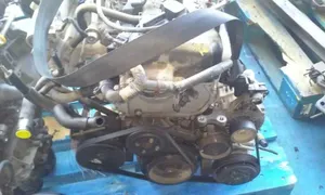 Nissan Primera Motor QG16