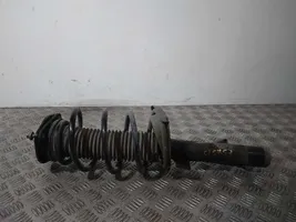 Ford Focus Front shock absorber with coil spring 