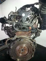 Hyundai Trajet Engine D4EA