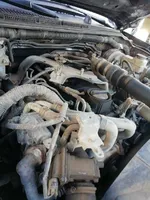 Nissan Navara Moteur YD25