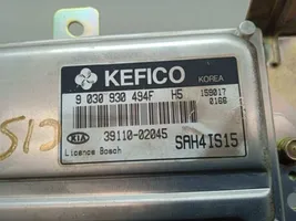 KIA Picanto Sterownik / Moduł ECU 3911002045