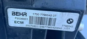 BMW X5 E70 Set del radiatore 7796542