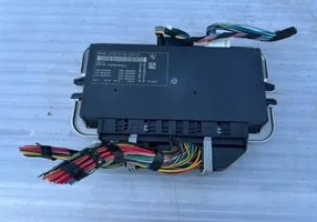 BMW 7 F01 F02 F03 F04 Xenon control unit/module 005005043