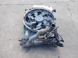 Hyundai Genesis Radiatore di raffreddamento 25385B1280