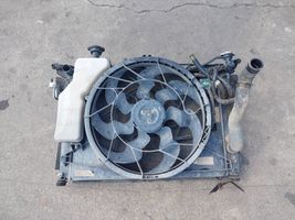 Hyundai Genesis Radiatore di raffreddamento 25385B1280