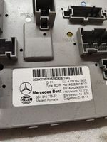 Mercedes-Benz S W222 Jednostka sterowania SAM A2229003905