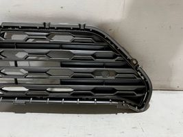Toyota RAV 4 (XA50) Front bumper upper radiator grill 