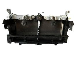 Toyota Prius (XW50) Coolant radiator 