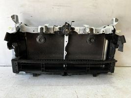 Toyota Prius (XW50) Coolant radiator 