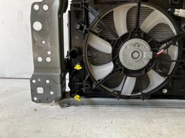 Toyota Prius (XW50) Coolant radiator 