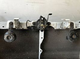 Toyota Prius (XW50) Coolant radiator 