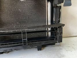 Toyota Prius (XW50) Coolant radiator 