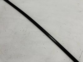 Toyota Prius (XW30) Roof trim bar molding cover 