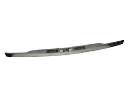 Opel Zafira B Trunk door license plate light bar 13137862