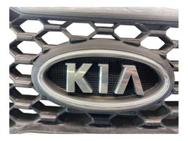 KIA Sorento Atrapa chłodnicy / Grill 863502P000