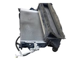 Volvo V40 Radiatore intercooler 31338734