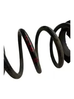 Hyundai i20 (PB PBT) Rear coil spring 