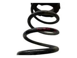 Hyundai i20 (PB PBT) Rear coil spring 