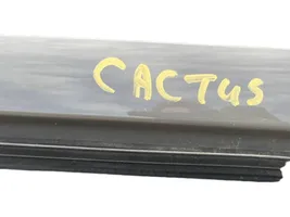 Citroen C4 Cactus Rear door 