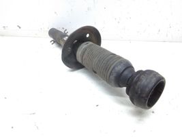 Volkswagen New Beetle Front shock absorber/damper 1J0413031BJ