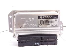 Hyundai Getz Sterownik / Moduł ECU 3911002420