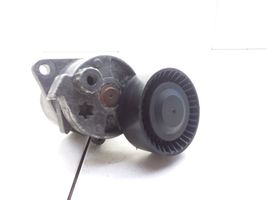 Mercedes-Benz E W211 Tendicinghia generatore/alternatore F231071