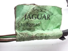 Jaguar XJ X308 Pysäköintitutkan anturin johtosarja (PDC) LNF3225AB