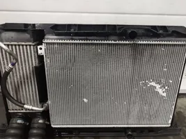 Peugeot 308 Set del radiatore 