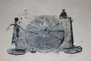 Tata Telcoline Set del radiatore 181010A19212