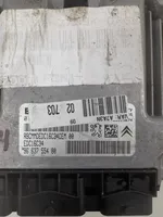 Peugeot 207 Sterownik / Moduł ECU 9663755480