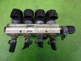 Renault Megane I LP gas injector 67R01973